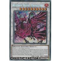 LIOV-EN035 Ruddy Rose Dragon Secret Rare 1st Edition NM