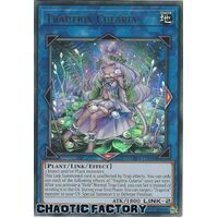 LIOV-EN046 Traptrix Cularia Ultra Rare 1st Edition NM