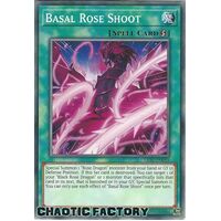 LIOV-EN059 Basal Rose Shoot Common 1st Edition NM