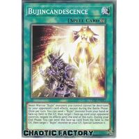 LIOV-EN062 Bujincandescence Common 1st Edition NM