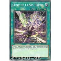 LIOV-EN099 Sunvine Cross Breed Common 1st Edition NM