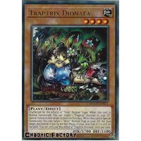MAGO-EN075 Traptrix Dionaea Rare 1st Edition NM