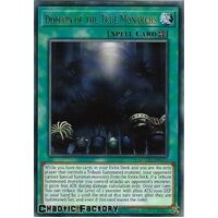 MAGO-EN090 Domain of the True Monarchs Rare 1st Edition NM
