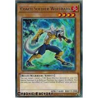 MAGO-EN120 Coach Soldier Wolfbark Rare 1st Edition NM