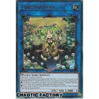 MAMA-EN074 Traptrix Sera Ultra Rare 1st Edition NM
