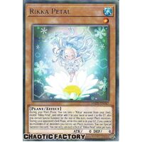 MAZE-EN047 Rikka Petal Rare 1st Edition NM