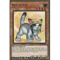 MGED-EN006 Rescue Cat (alternate art) Premium Gold Rare 1st Edition NM