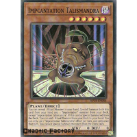 Yugioh MP19-EN084 Impcantation Talismandra Super Rare  NM