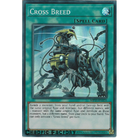 Yugioh MP19-EN124 Cross Breed Super Rare  NM