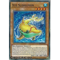 MP20-EN061 Xyz Slidolphin Common 1st Edition NM