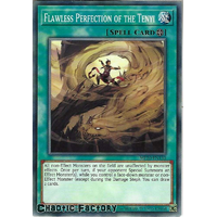 MP20-EN130 Flawless Perfection of the Tenyi Common 1st Edition NM
