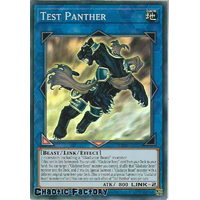 MP20-EN176 Test Panther Super Rare 1st Edition NM