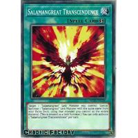 MP20-EN180 Salamangreat Transcendence Common 1st Edition NM