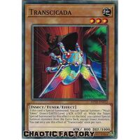 MP21-EN012 Transcicada Common 1st Edition NM