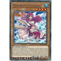 MP21-EN038 Marincess Pascalus Rare 1st Edition NM