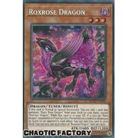 MP22-EN060 Roxrose Dragon Prismatic Secret Rare 1st Edition NM