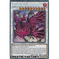 MP22-EN077 Ruddy Rose Dragon Prismatic Secret Rare 1st Edition NM