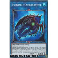 MP22-EN088 Paleozoic Cambroraster Super Rare 1st Edition NM