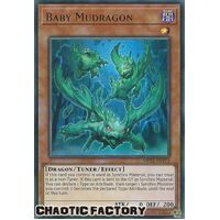 MP22-EN172 Baby Mudragon Ultra Rare 1st Edition NM