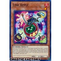 MP22-EN180 Link Apple Common 1st Edition NM