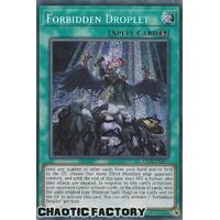 MP22-EN254 Forbidden Droplet Prismatic Secret Rare 1st Edition NM