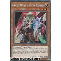 MP22-EN255 Ghost Ogre & Snow Rabbit Prismatic Secret Rare 1st Edition NM