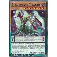 MP23-EN071 Predaplant Triantis Common 1st Edition NM