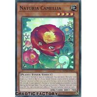 MP23-EN171 Naturia Camellia Super Rare 1st Edition NM
