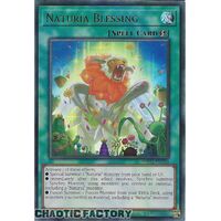 MP23-EN204 Naturia Blessing Ultra Rare 1st Edition NM