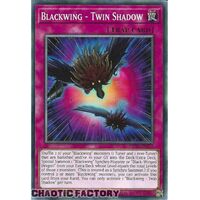 MP23-EN207 Blackwing - Twin Shadow Common 1st Edition NM