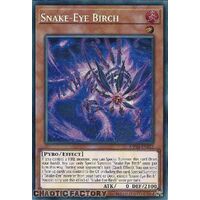 MP24-EN112 Snake-Eye Birch Prismatic Secret Rare 1st Edition NM