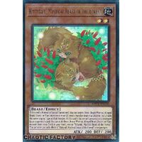 MP24-EN205 Kittytail, Mystical Beast of the Forest Ultra Rare 1st Edition NM