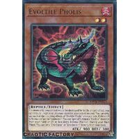 MP24-EN213 Evoltile Pholis Ultra Rare 1st Edition NM