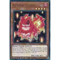 MP24-EN218 Agnimal Candle Ultra Rare 1st Edition NM