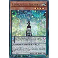 MP24-EN265 Performapal Duelist Extraordinaire Ultra Rare 1st Edition NM