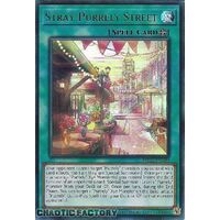 MP24-EN289 Stray Purrely Street Ultra Rare 1st Edition NM