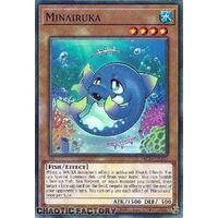 MP24-EN335 Minairuka Common 1st Edition NM