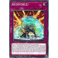 MP24-EN354 REINFORCE! Common 1st Edition NM