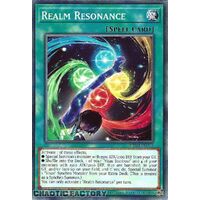 MP24-EN374 Realm Resonance Common 1st Edition NM