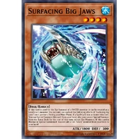 MP25-EN012 Surfacing Big Jaws Starlight Rare 1st Edition NM