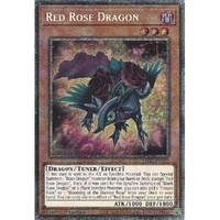 MP25-EN037 Red Rose Dragon Starlight Rare 1st Edition NM