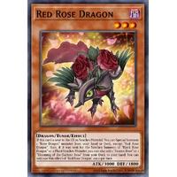 MP25-EN037 Red Rose Dragon Starlight Rare 1st Edition NM