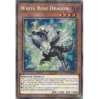 MP25-EN038 White Rose Dragon Starlight Rare 1st Edition NM