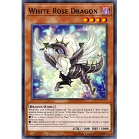 MP25-EN038 White Rose Dragon Starlight Rare 1st Edition NM