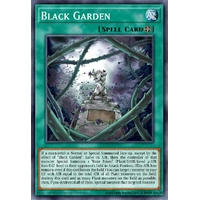 MP25-EN132 Black Garden Prismatic Secret Rare 1st Edition NM