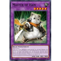 MP25-EN161 Master of Ham Ultra 1st Edition NM
