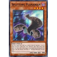 MP25-EN263 Splitting Planarian Ultra 1st Edition NM