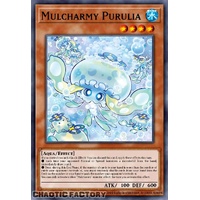 MZTM-EN083 Mulcharmy Purulia Ultra Rare 1st Edition NM