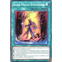 Yugioh LEDD-ENA17 Dark Magic Expanded Common