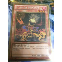 Yugioh - Lonefire Blossom Gold Rare - PGLD-EN034 MINT